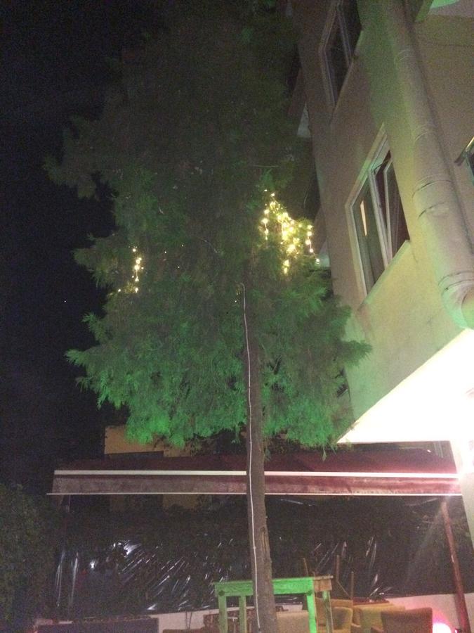 Alanya Demir Hotel Luaran gambar